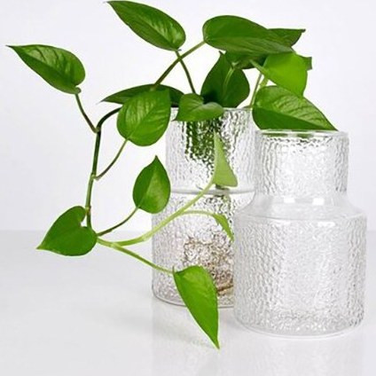گلدان شیشه ای مدل الیزا مدل 4900
